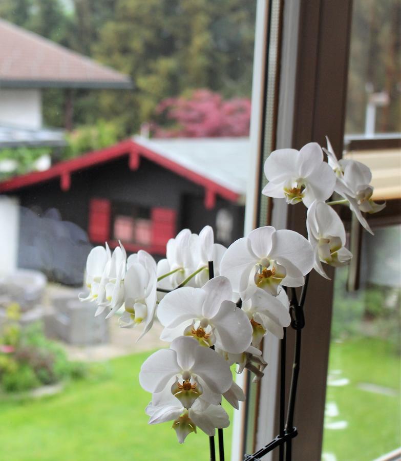 Gaestehaus Schmid Oberstaufen Exterior foto